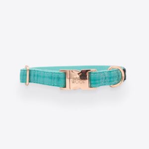 Wag Your Teal' Dog Collar