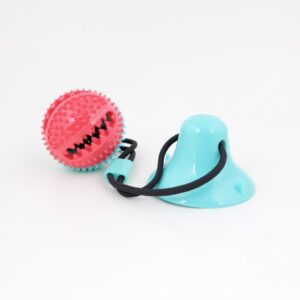 Tug-of-Floor Dog Toy